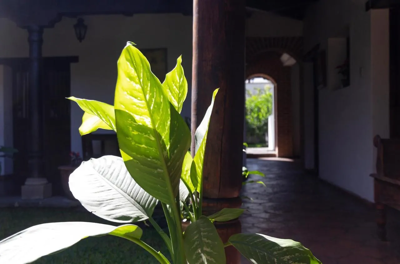 Romanza Bed & Breakfast Antigua